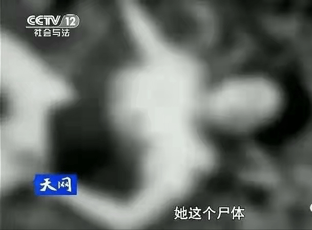 天网22岁女孩碎尸图片