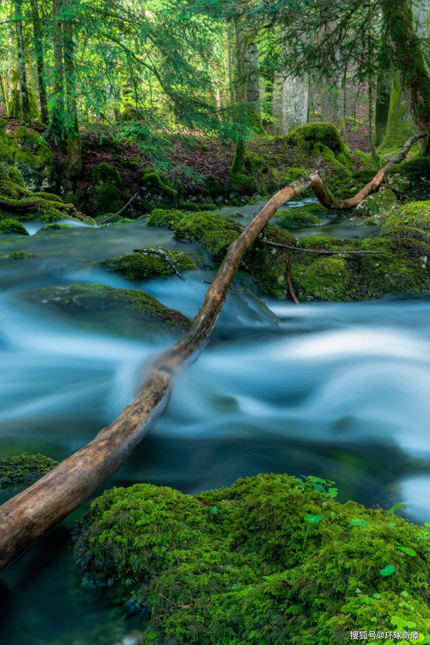 长曝光照片瑞士摄影师镜头下的偏远森林寂静空灵之美