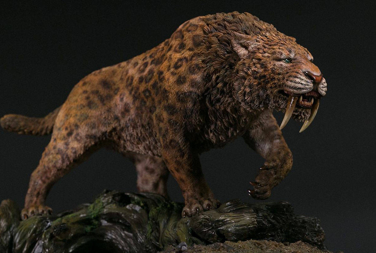 分析后,发现斑点土狼,马刀齿猫,及美洲豹的牙釉质成分类似,它们都曾经