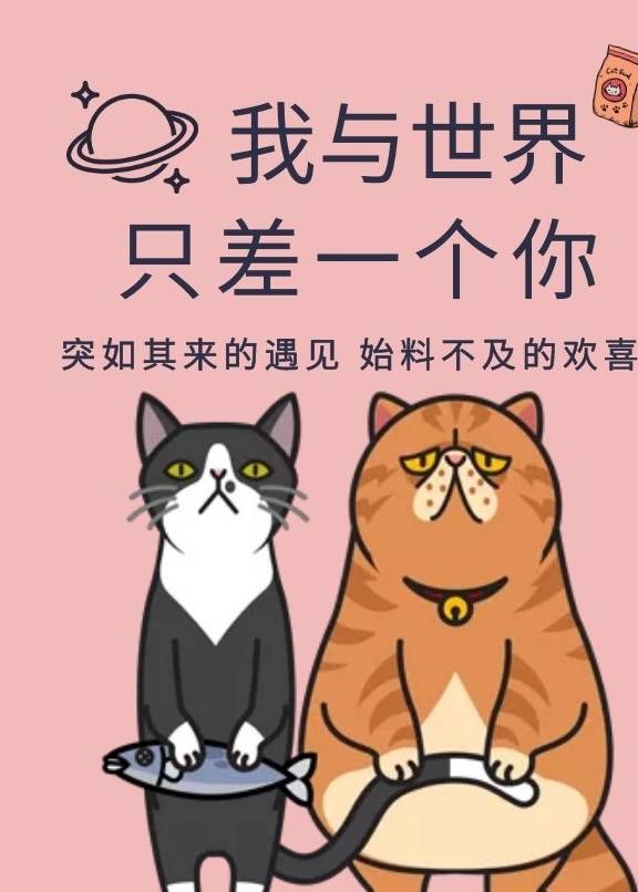 毛器不要养加菲猫，不然会让你怀疑，自己是养了一头猪