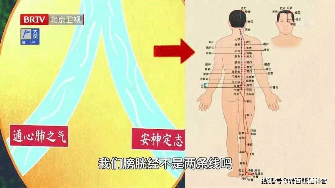 睡眠|希百康健康科普:一天中不可错过的3个“养生黄金期”,坚持这些,健康自然来