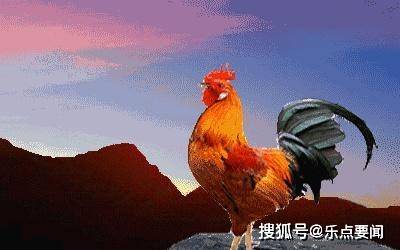 b725f7a9a9ed40eb8371e42ddc442cbd.jpeg
