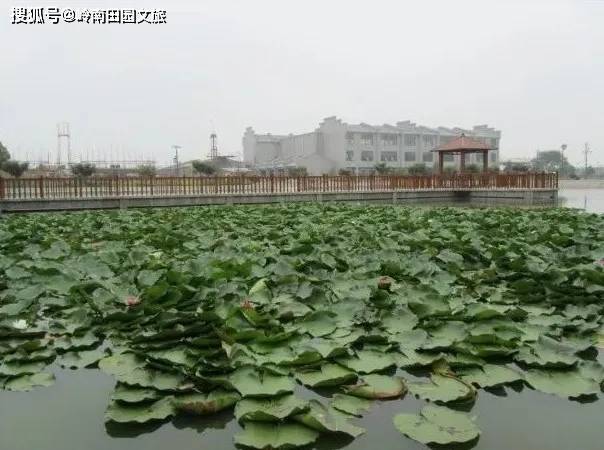 开云 开云体育平台盘点2021全国最火的四大休闲农庄揭秘流量密码！(图12)