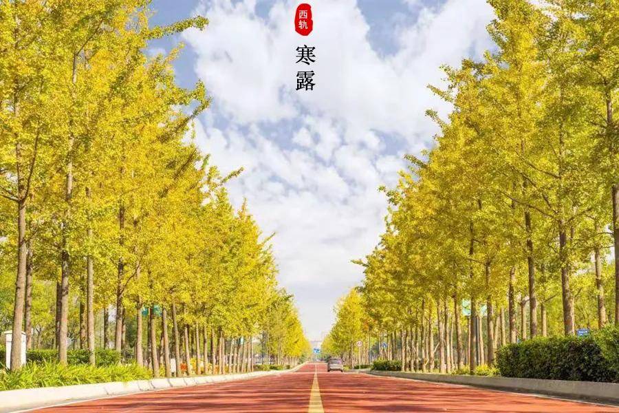 诗意|收藏！ 西安轨道交通技师学院的专属二十四节气壁纸