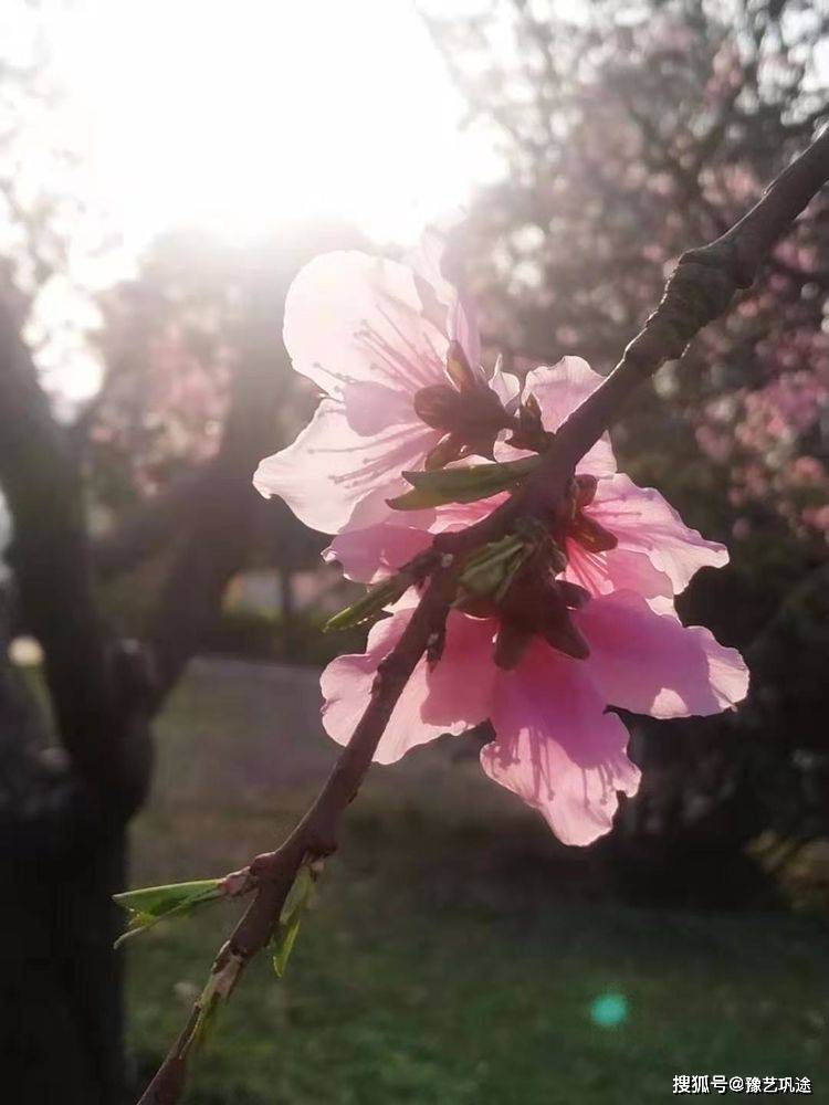 地点|诗图巩义 | 春天，等候你回来