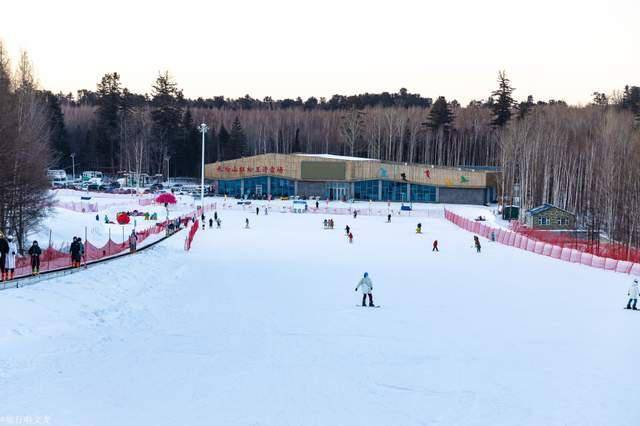 滑雪场|长白山北坡只有一个雪道的红松王滑雪场，是滑雪季新手的冰雪乐园