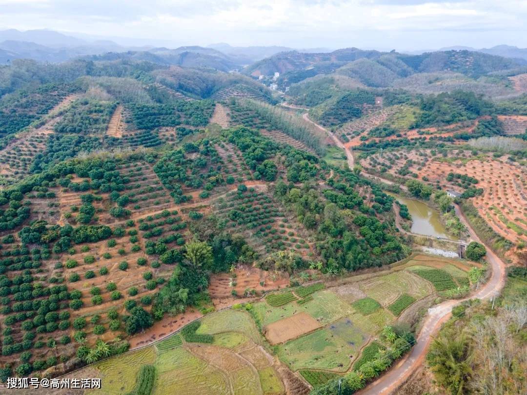 乡村振兴进行时,高州这个镇交出满意答卷_建设_平山镇_村民