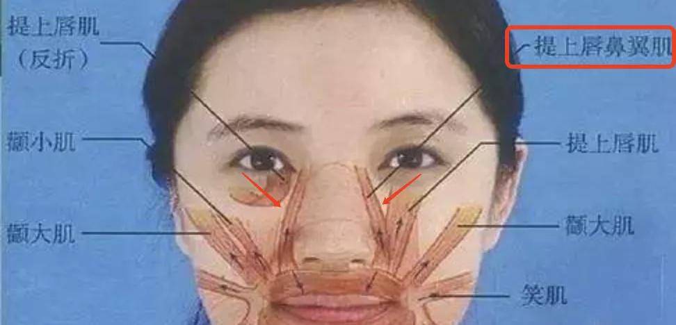 眼袋原来美女有时候也不能随便做表情