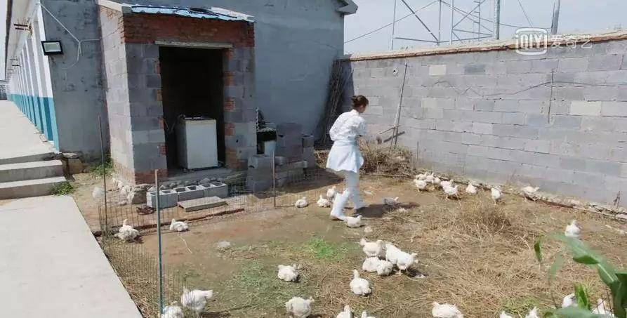 青春|新时代语境下，赵宝刚的“青春”观察力依旧敏锐 鉴剧