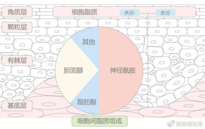 秘密风靡水光届的颜层?水晶针都有哪些秘密？