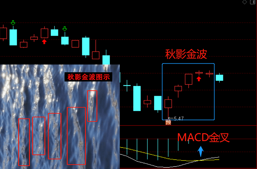 炭黑行业龙头企业业绩预告翻倍增长股价不足6元走出秋影金波