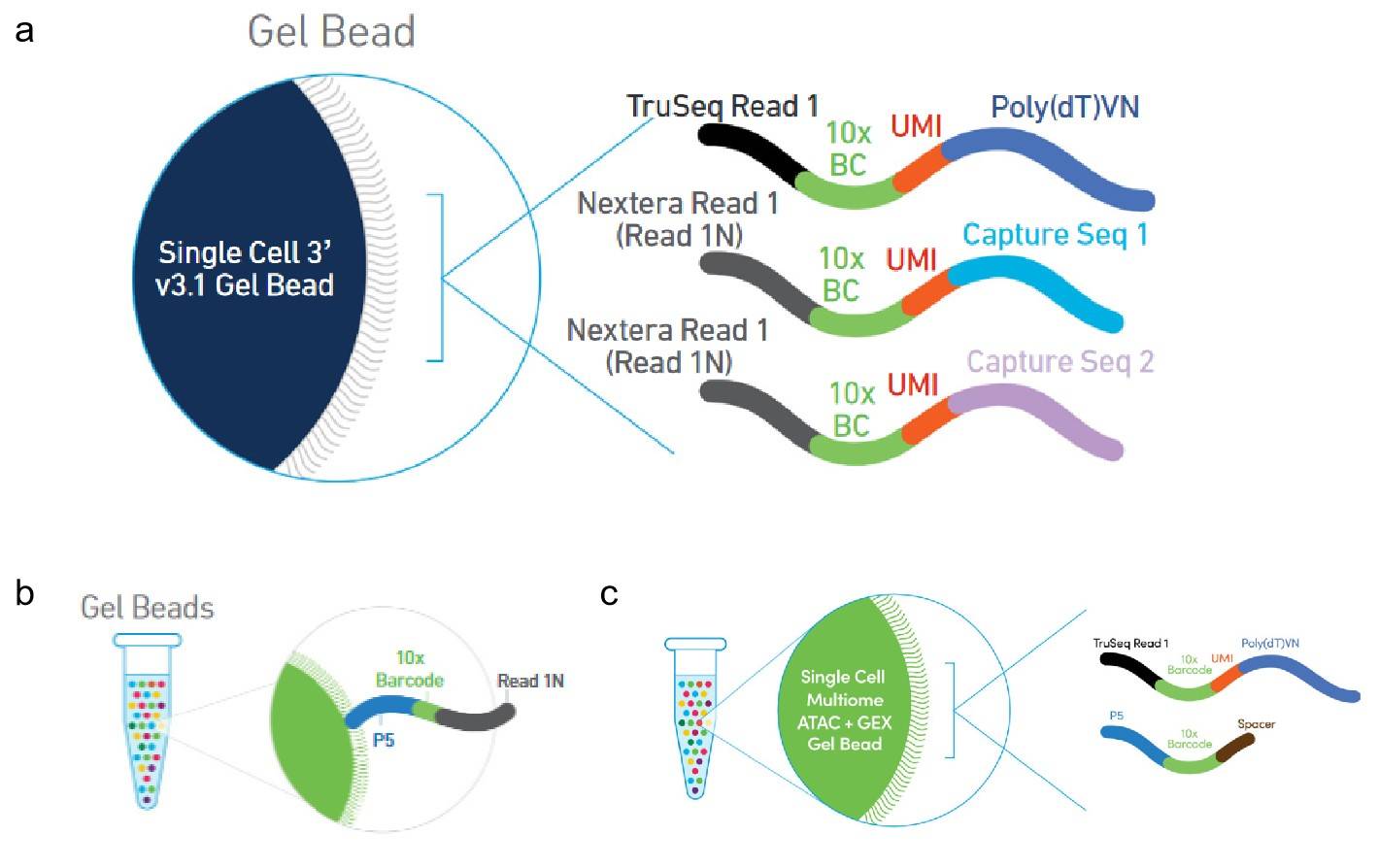 10x-atac-gex-atac-seq