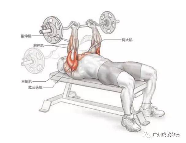 杠铃_动作_中立