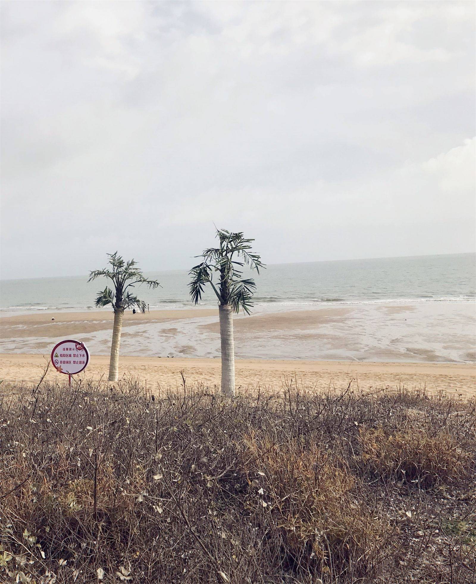 日照美食排行_日照旅游,海边美丽景点和特色海鲜美食介绍