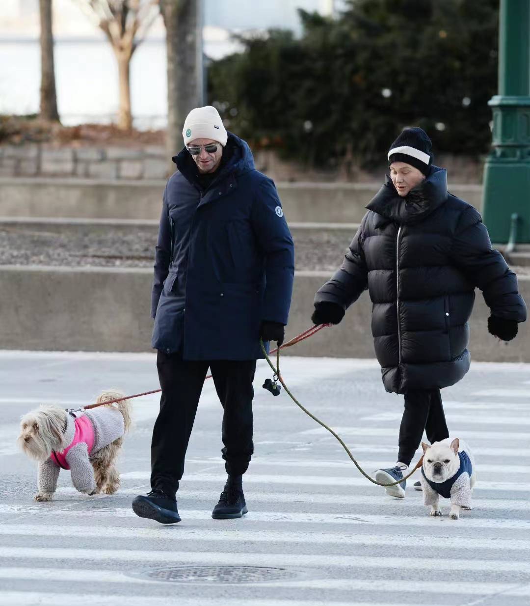 休·杰克曼忙中偷闲陪爱妻遛弯;大十三岁又怎样狼叔媳妇不显老