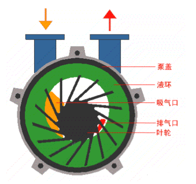 yabo亚搏-水环式真空泵日常维护(图1)