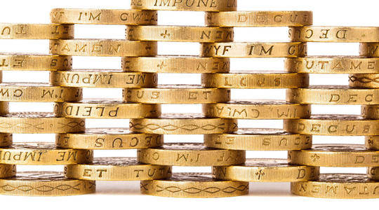 世界名猫排行榜_60只世界名猫参加平顶山站全国巡回展,一只金渐层有人出资15万元