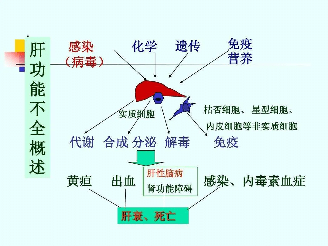 龙昌品牌蛋 | 减少鸡蛋的容貌焦虑