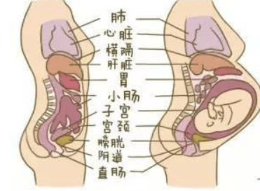 期间洗头搞坏身体,香港医生要求她生完第二天必须洗_小巴_因为_母体