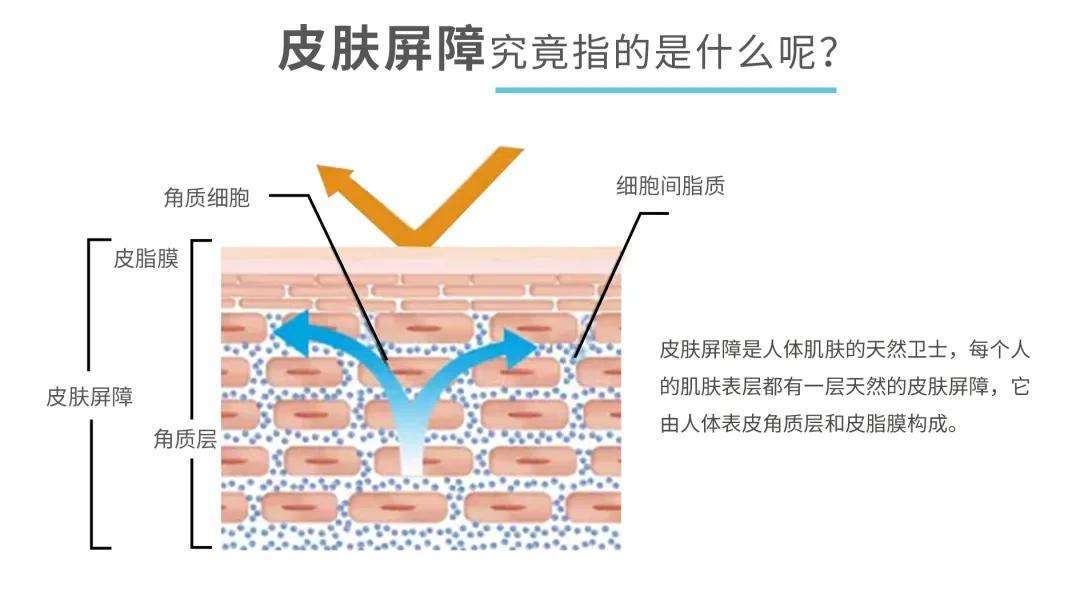 get夏叶：换季不做糙“旱”子 快来get正确护肤姿势