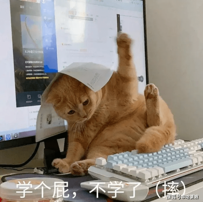 end-图片素材来源网络如有侵权,请联系删除文章首发自公众号:哈婆娘i