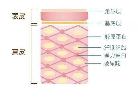 因为谁能想到这种绝美恶女颜背后,是个傻白甜啊