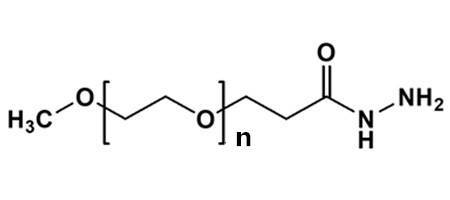 hydrazide-mpeg2000 含有酰肼的線性單功能peg衍生物_分子量_結構式