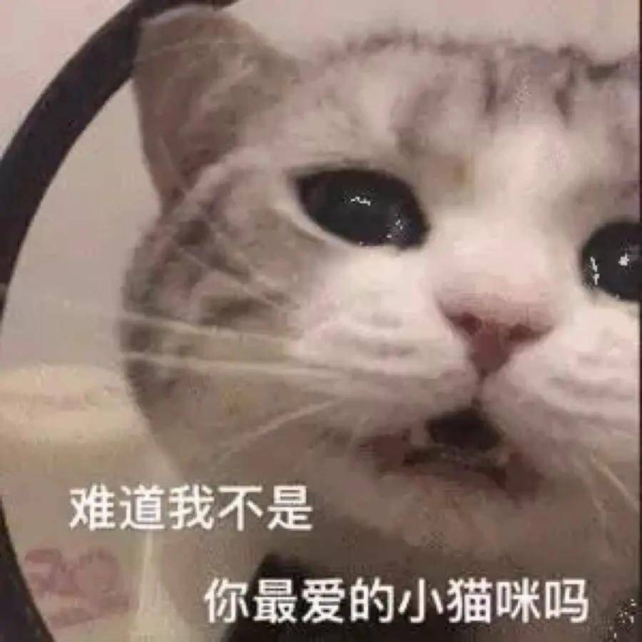 因为谁能想到这种绝美恶女颜背后,是个傻白甜啊
