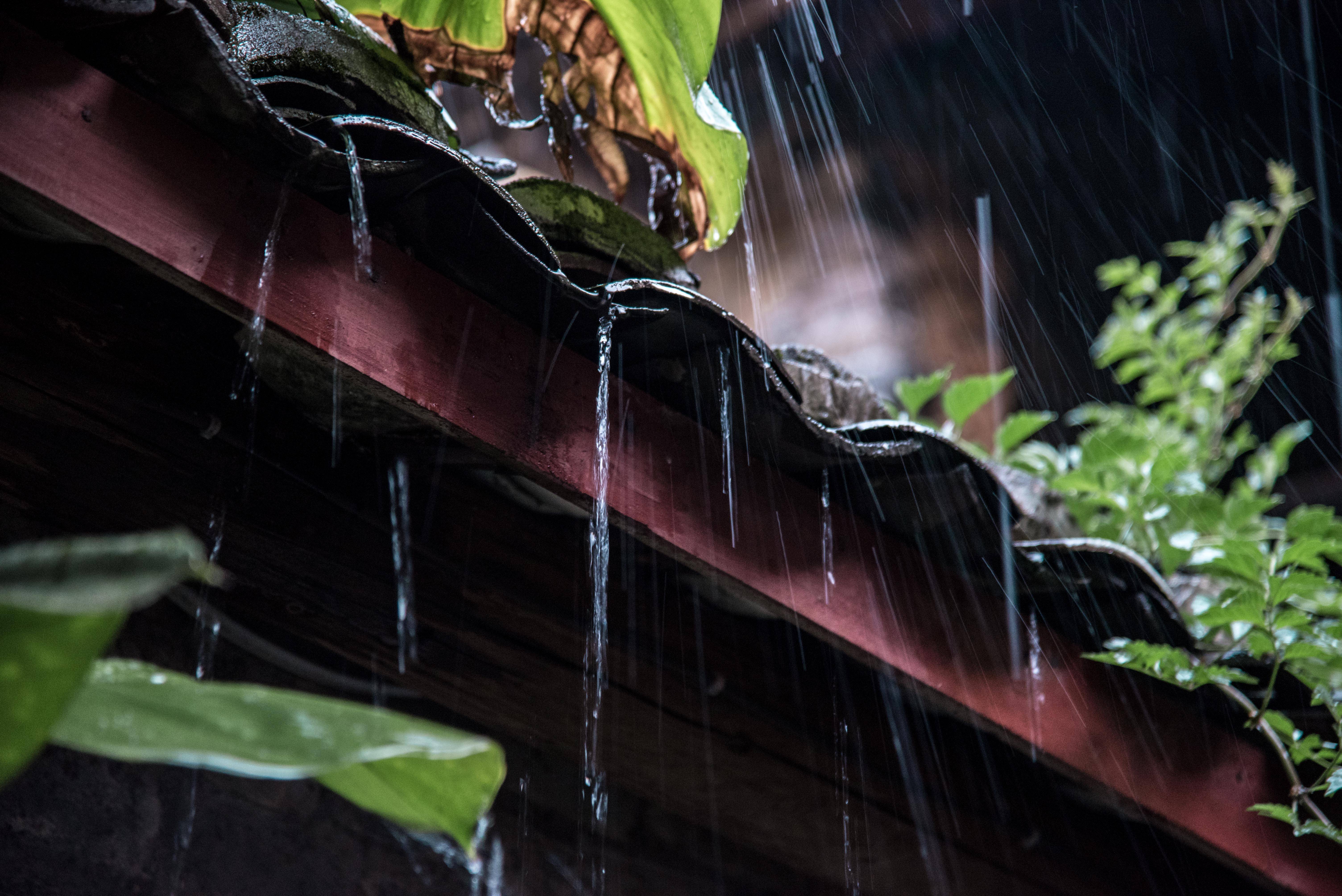 雨水迎一场春雨等一片花开