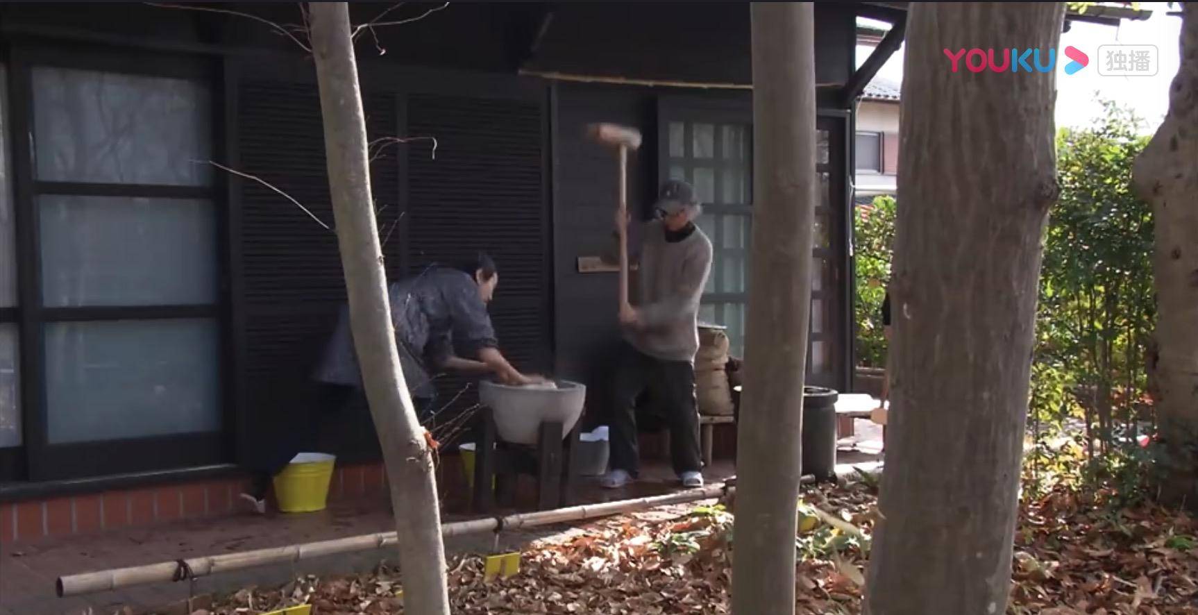 生活|豆瓣9.6高分纪录片!探秘177岁夫妇的隐居幸福婚姻|《人生果实》