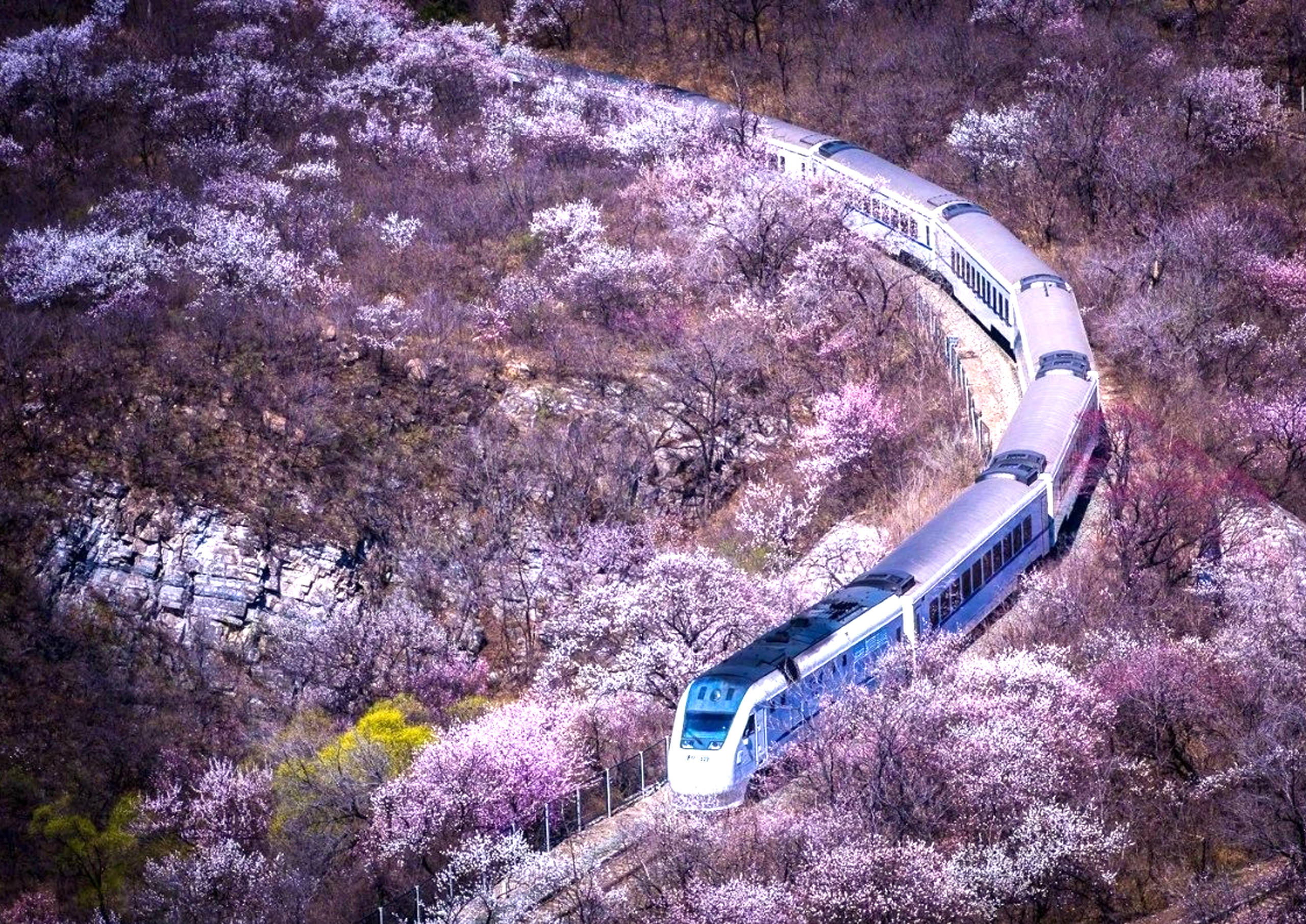 坐着火车游北京,省时省力又省钱,寻找春天最美的风景_怀柔_铁路_线路