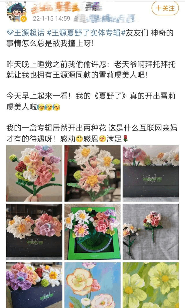 王源手写夏野了花种花名,手写传递真心,粉丝用针织永久保存_汤圆_专辑