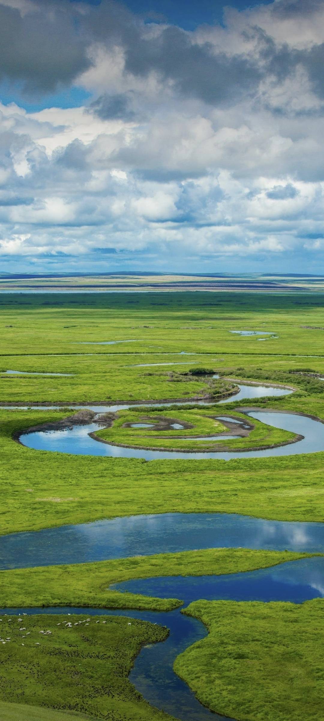 1080_2400竖版 竖屏