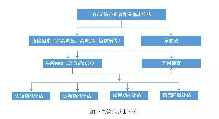 进行|症状小危害大，脑小血管病不容忽视！