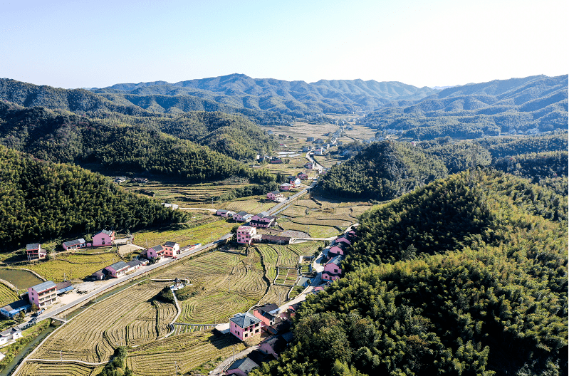 益阳桃花江镇清廉建设助力乡村振兴