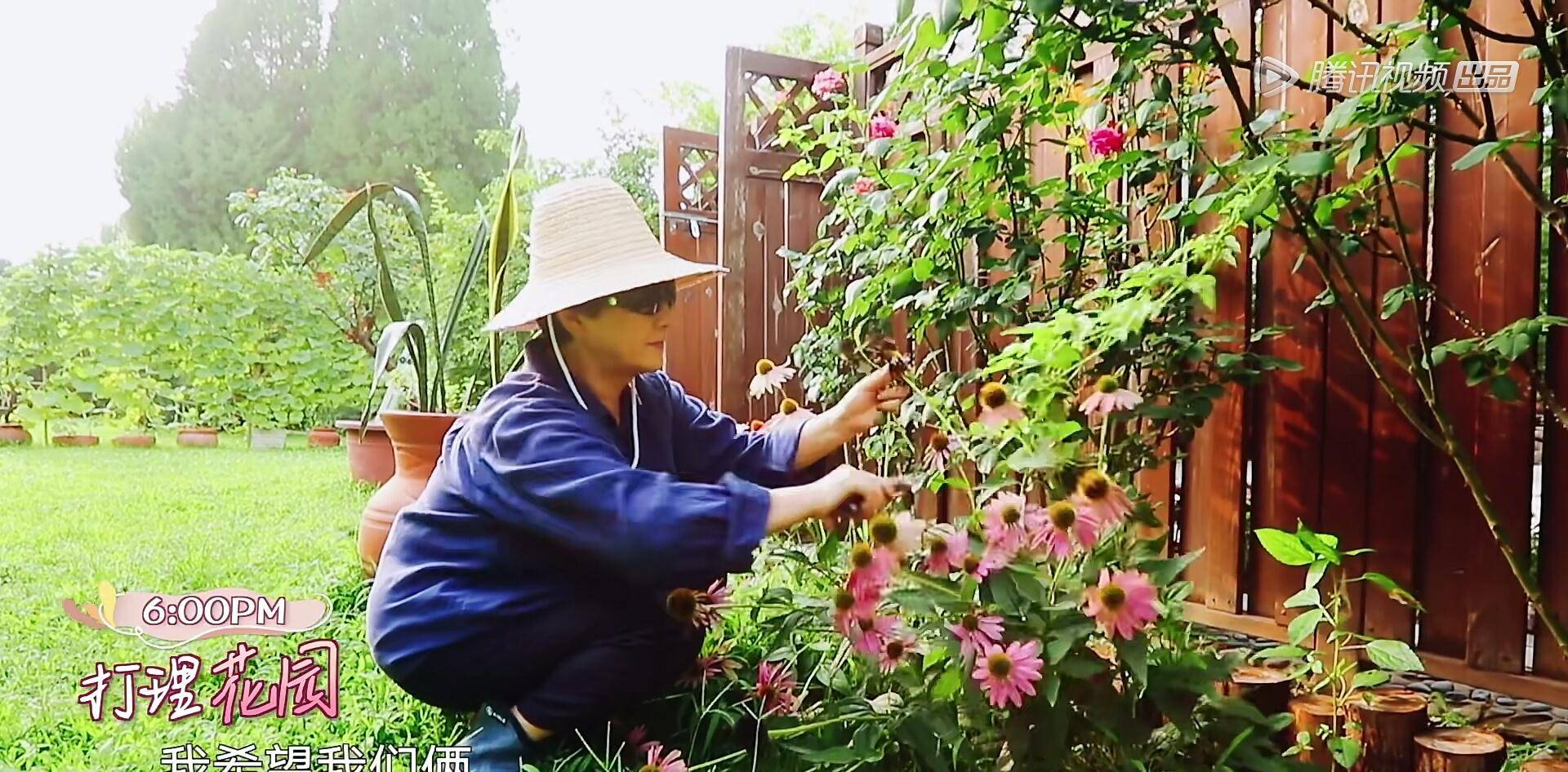 家务|《幸福三重奏》回归，陈意涵夫妇甜度超标，网友：像看偶像剧！