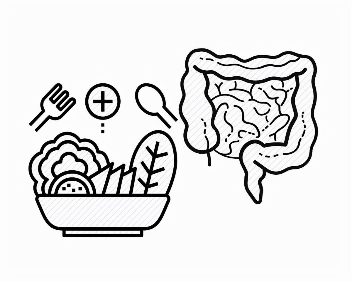 脂肪类食物简笔画图片