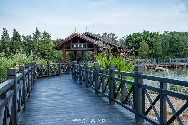 人工湖|实拍广州中心区最大的人工湖，景色美轮美奂，不需要门票