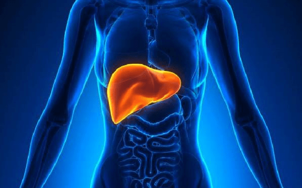 肝脏|肝脏求救的4个信号你收到吗？坚持做好这4个习惯，助你救肝