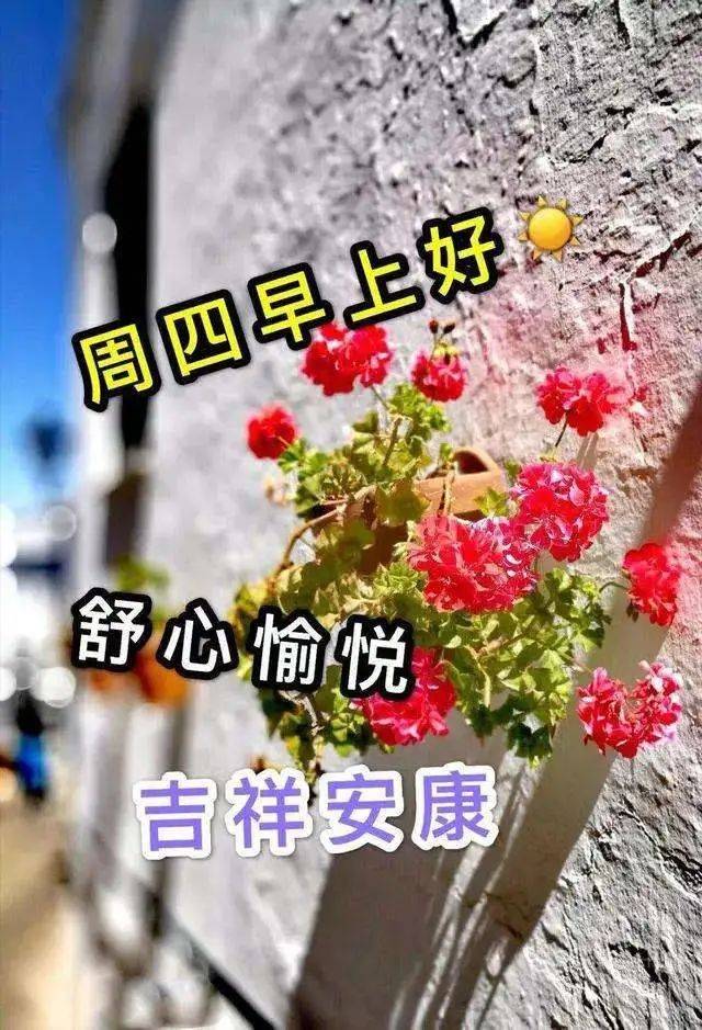 原创周四早安祝福暖心语短信微信星期四早上好问候语句带图片