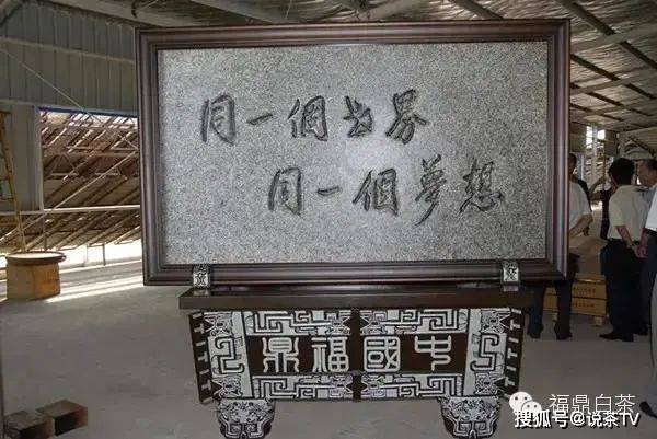 冰墩|茶“进军”奥运圈？不被圈定发展的茶界，都充满着无限可能