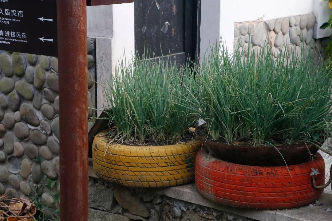 姜村_美乡村_村民