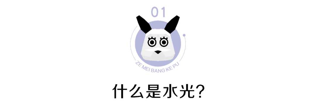 成份我摊牌了!!关于长期使用水光会产生依赖性的究极原因