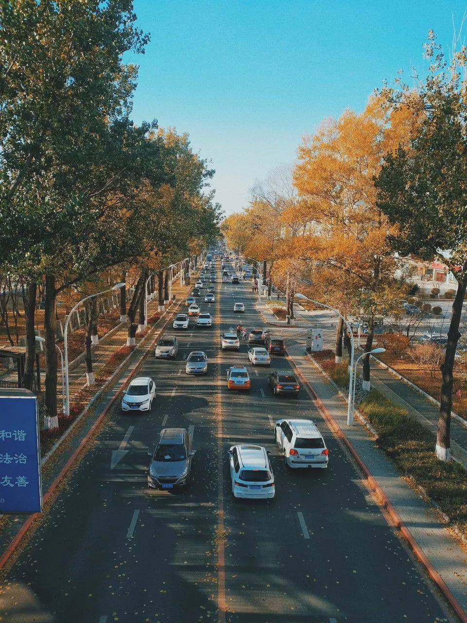 雷佳音|深挖《人世间》取景地 竟是这座中国最幸福城市！