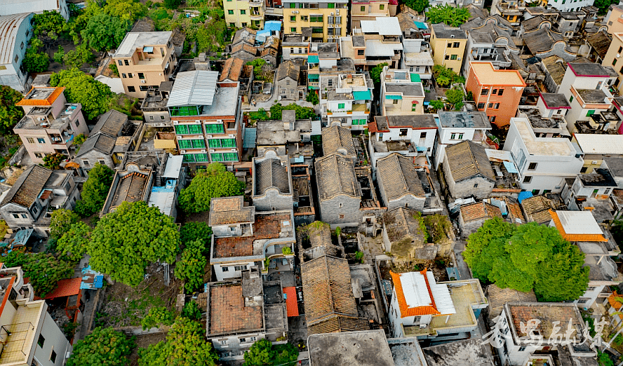 民俗活态传承机制莲花湾片区也是番禺龙舟文化很重要的一个传承地区