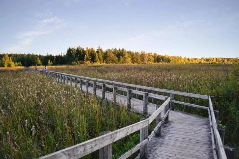 谁能定义健康冰箱新标准?海尔容声还是美的西门子-家电圈官网