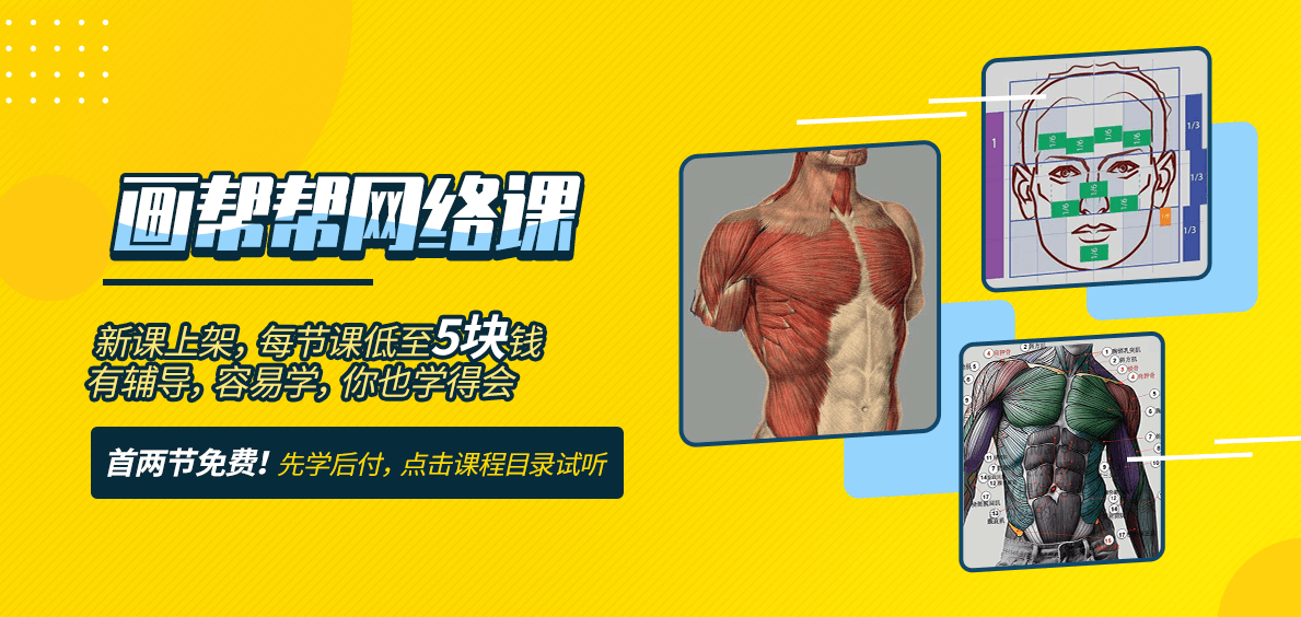 草稿女生瘦瘦软软的腹部怎么画？怎么画出女生的腰？来画帮帮学习腹部画法步骤教程