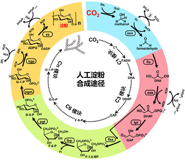 月球|5所高校上榜！2021年度中国科学十大进展发布