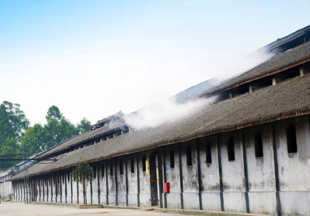 全兴复兴驱动成都产区热,三个关健词:规模,风格与高度