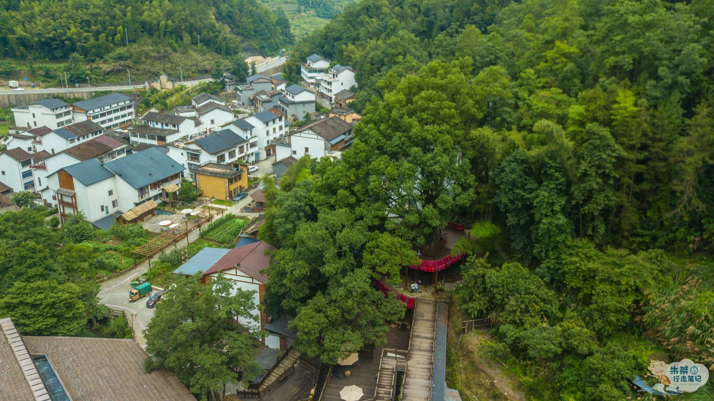 景区|文成首个省5A镇，“壶穴”震惊世人，是温州森林资源最丰富的镇